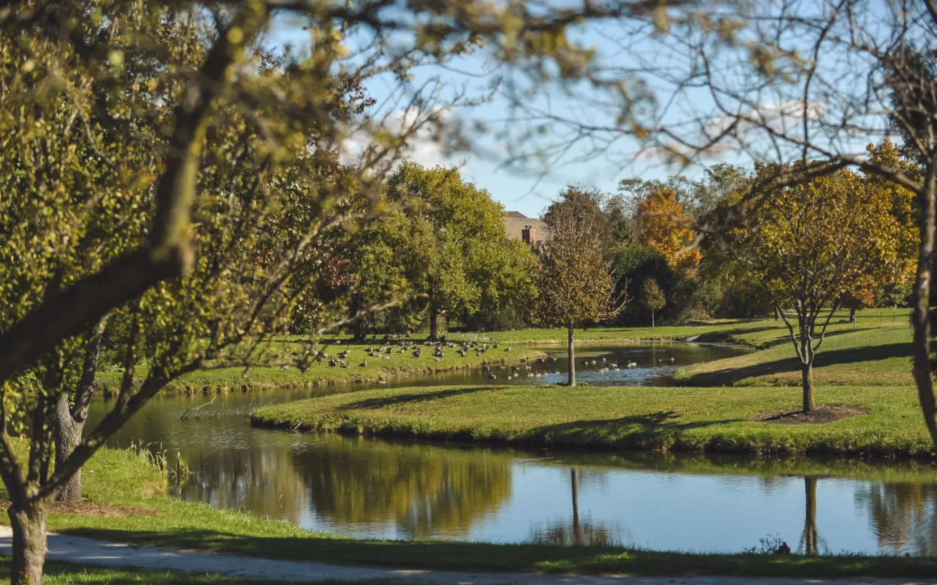 Glen Ellyn